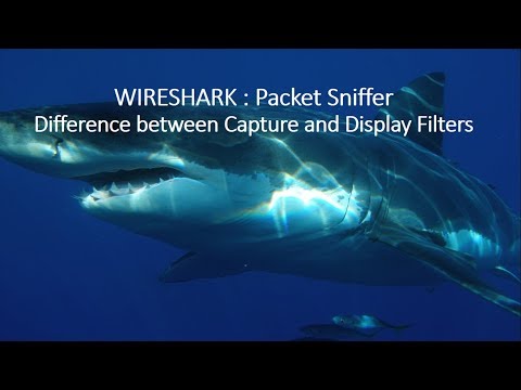 wireshark capture filter port