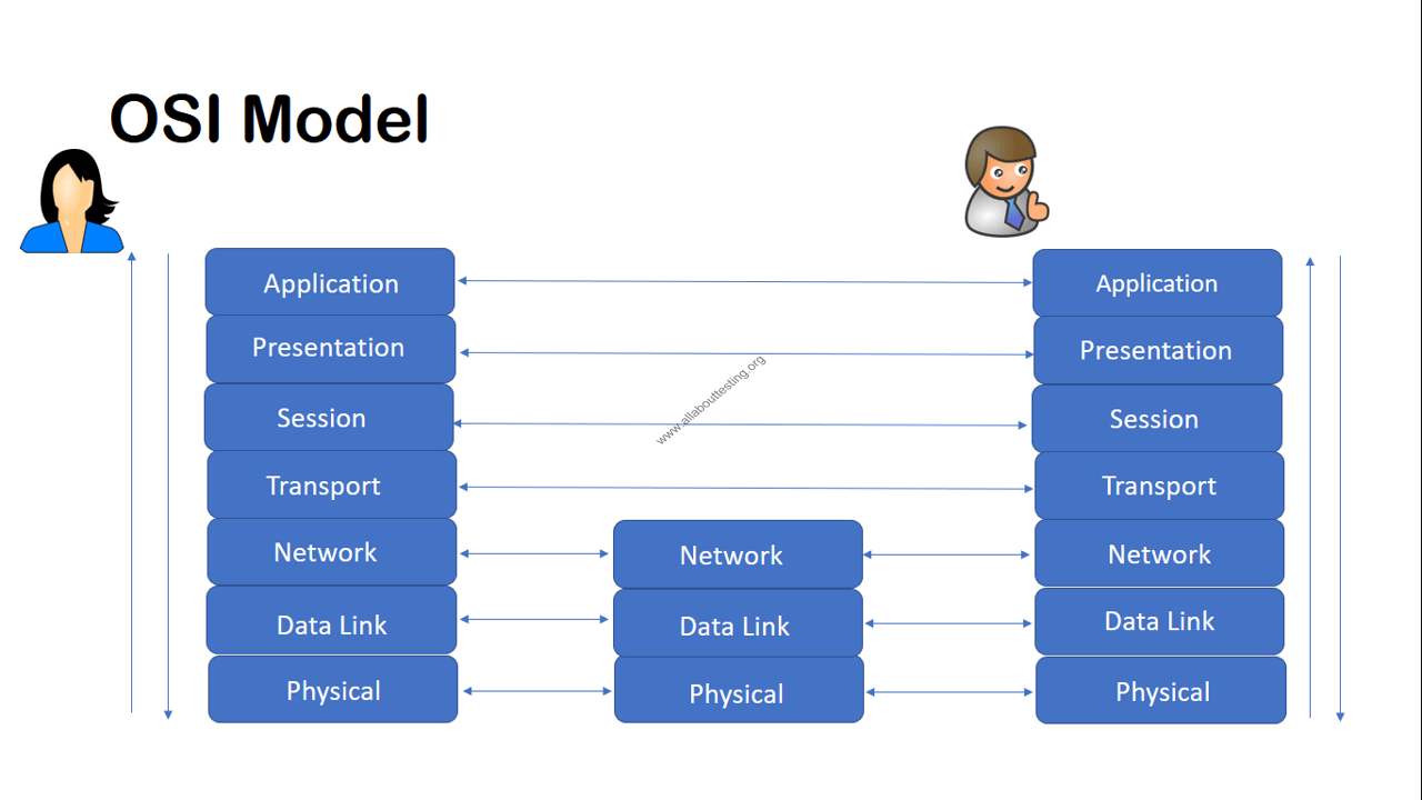 Models information